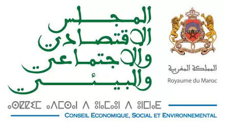 المجلس الاقتصادي والاجتماعي والبيئي